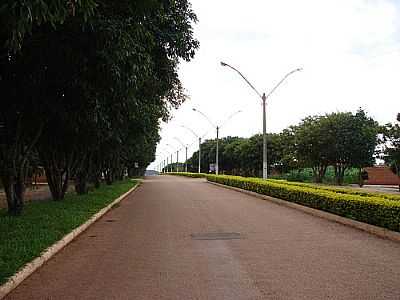 AVENIDA-FOTO:DIOCELIOFREITAS  - NOVA IGUAU DE GOIS - GO