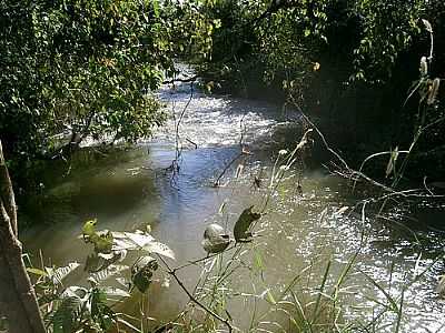 RIBEIRO CACHOEIRA POR JOS NERY GALVO - NOVA VENEZA - GO