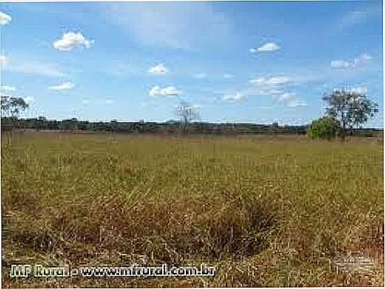 FAZENDA NO MUNICPIO DE NOVO PLANALTO-FOTO:MFRURAL. - NOVO PLANALTO - GO