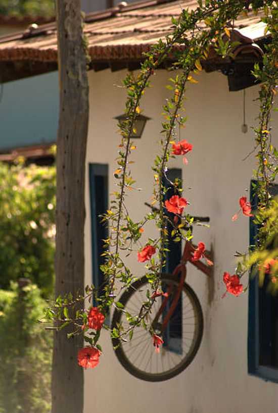 DECORAO,BICICLETA NA PAREDE EM OLHOS DGUA-GO-FOTO:NIO LCIO - OLHOS D'GUA - GO