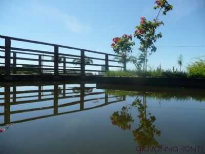 LAGO CMARA DOS VEREADORES. POR: GIULIANNA CONTE,   - RIO VERDE - GO