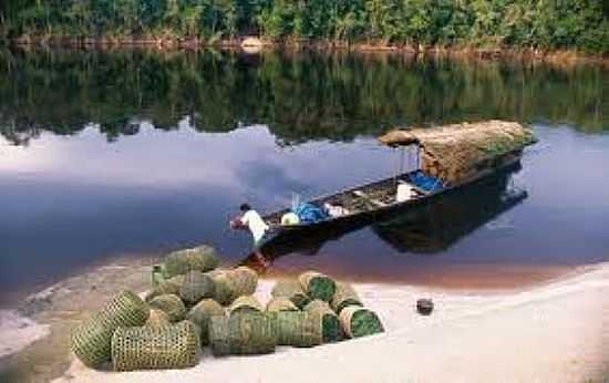 TRANSPORTE DE CESTARIA COMUNIDADE SANTA ROSA-FOTO:GLOBOAMAZONIA - IAN - AM