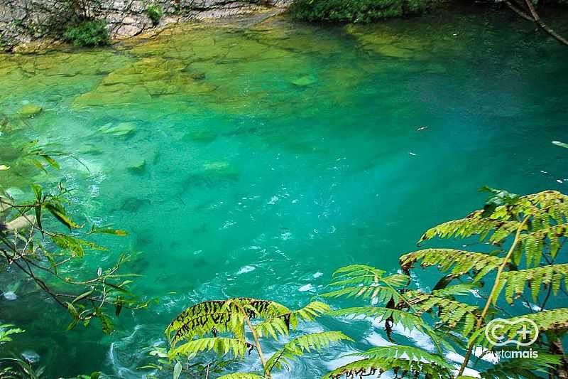 CACHOEIRA SANTA BRBARA, A MAIS BELA DO ESTADO DE GOIS! - SANTA BRBARA DE GOIS - GO