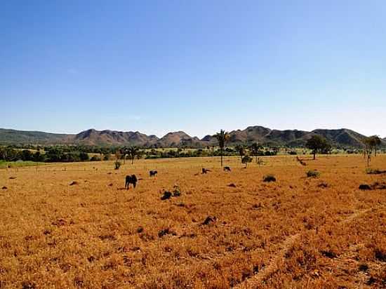 SERRA DO TIRA PRESSA-FOTO: SILVEIRA, T. B.  - SANTA F DE GOIS - GO