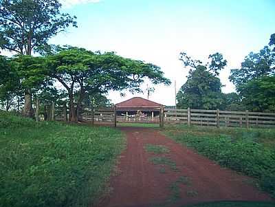 FAZENDA-FOTO:JOSE WIRTON GALVAO  - SANTA RITA DO NOVO DESTINO - GO