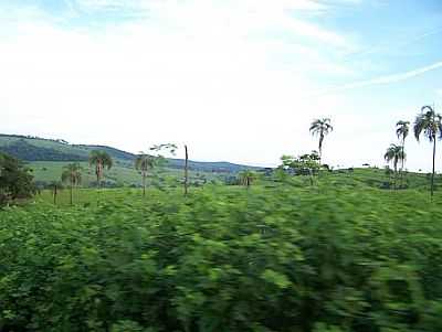 INTERIOR DA CIDADE-FOTO:JOSE WIRTON GALVAO   - SANTA RITA DO NOVO DESTINO - GO