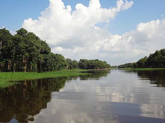 IRANDUBA-AM-IGARAP, LAGO CATALO-FOTO:PE. EDINISIO PEREIRA - IRANDUBA - AM