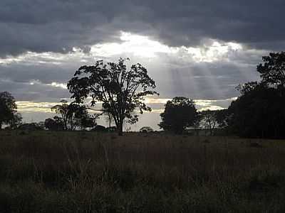 NATUREZA-FOTO:RUTEMAR MORARI   - SO FRANCISCO DE GOIS - GO