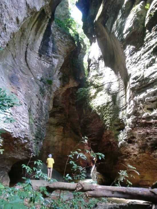 CANION BOCAINA DO FARIAS - FOTO DE DANIELA CASETTA, POR DANIELA CASETTA - SO JOO D'ALIANA - GO