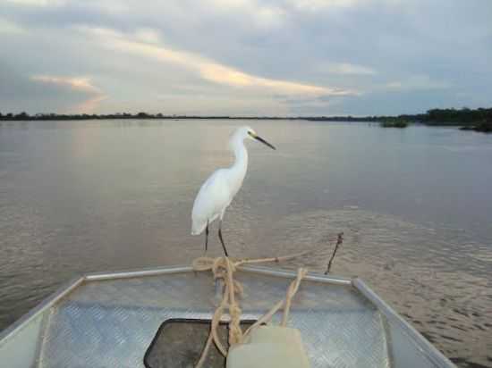 BELEZAS DO RIO ARAGUAIA/LUIZ ALVES/SO MIGUEL DO ARAGUAIA/GO, POR VIRLEY SILVA - SO MIGUEL DO ARAGUAIA - GO