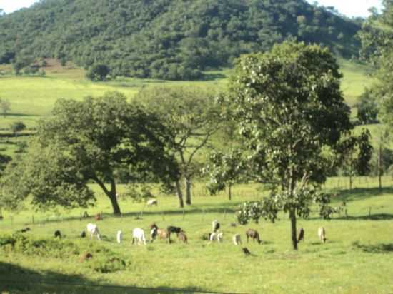 VISTA DE UMA OUTRA FASENDA, POR SIRLEY - TAQUARAL DE GOIS - GO