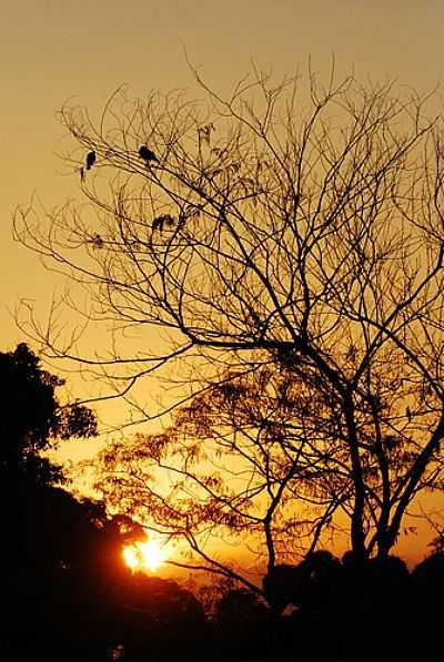 PR DO SOL-FOTO:JOVENTINO NETO - TEREZPOLIS DE GOIS - GO