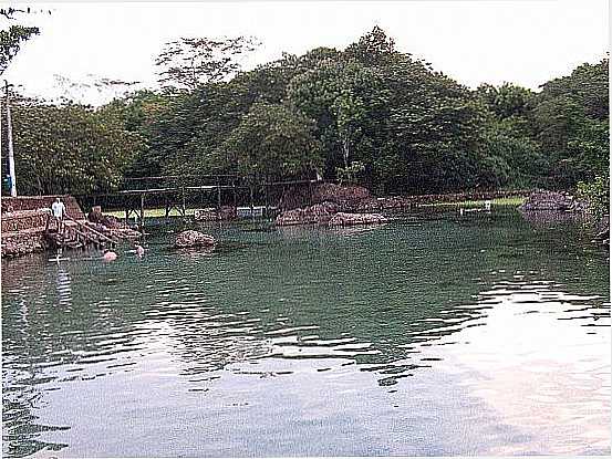 LAGOA SANTA-GO-LAGO-FOTO:MARCELO PIMENTA - LAGOA SANTA - GO
