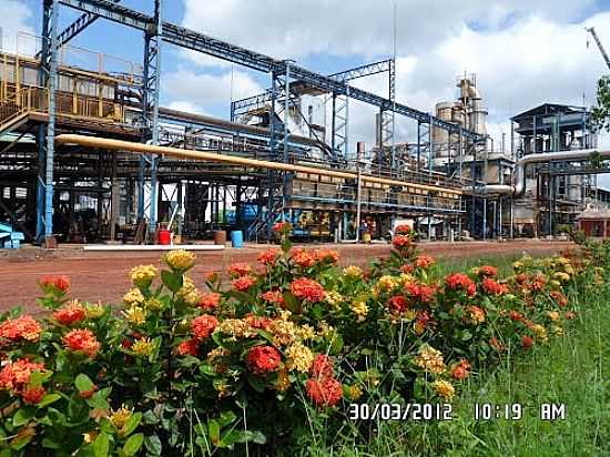 DESTILIARIA ITAPECURU BIOENERGIA EM ALDEIAS ALTAS-MA-FOTOISAIAS CUNHA2 - ALDEIAS ALTAS - MA