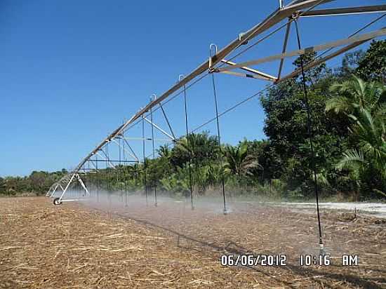 SISTEMA DE IRRIGAO EM ALDEIAS ALTAS-MA-FOTO:ISAIAS CUNHA - ALDEIAS ALTAS - MA