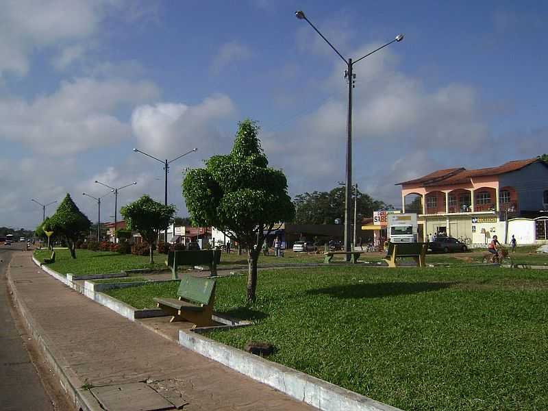 ARAGUAN-MA-CORTES EXTICOS DE PLANTAS NA AVENIDA PRINCIPAL-FOTO:ADALTO ARAJO - ARAGUAN - MA