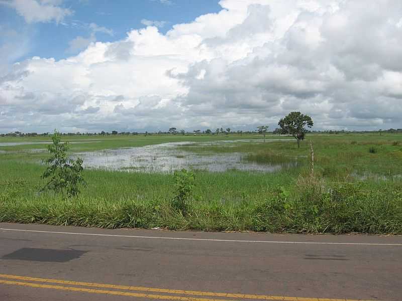 ARAR-MA-CAMPOS ALAGADOS  BEIRA DA RODOVIA-FOTO:JORGELUISFERNANDES - ARARI - MA