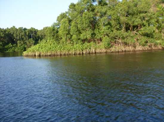 BARREIRINHA-MA-RIO PREGUIA-FOTO:MARIA LUCIA DO AMARAL - BARREIRINHAS - MA