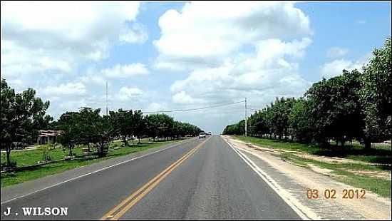 RODOVIA BR-316 PASSANDO POR BELA VISTA DO MARANHO-MA-FOTO:J.WILSON - BELA VISTA DO MARANHO - MA