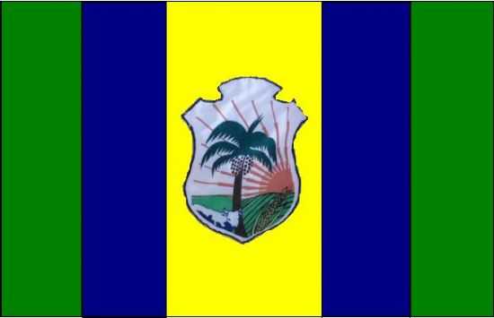 BANDEIRA DA CIDADE DE BENEDITO LEITE, POR FERNANDO - BENEDITO LEITE - MA