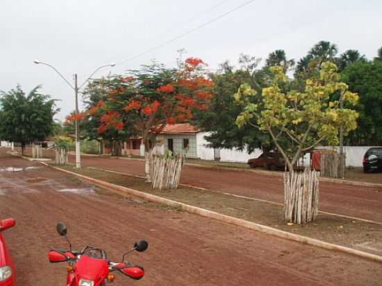 AVENIDA-FOTO:MOISS SERRA - BEQUIMO - MA