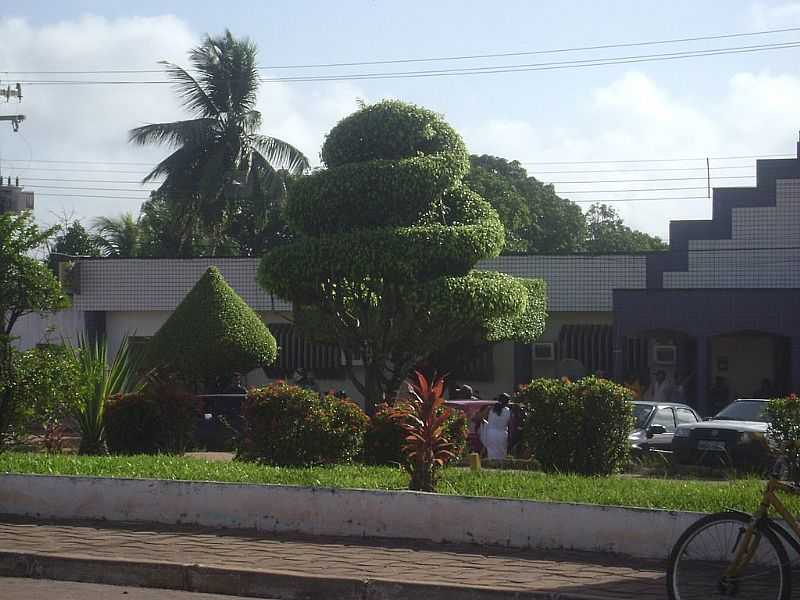 BOM JARDIM-MA-ARTE EM RVORES-AUTOR DESCONHECIDO-FOTO:ADALTO ARAJO  - BOM JARDIM - MA