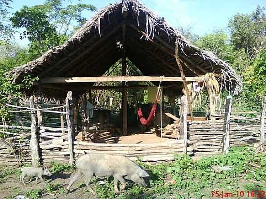 CASA DE FARINHA NO STIO BOCA DA MATA EM BREJO-MA-FOTO:HIPLITO - BREJO - MA