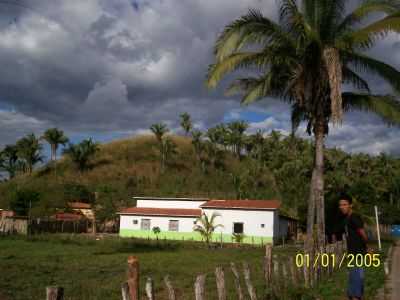 BURITI  , POR WENDDEL - BURITI - MA