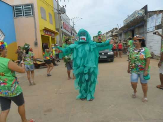 CARNAVAL EM CARUTAPERA-BLOCO DOS BICHOS FOLHARAIS, POR ALDA MAGALHES - CARUTAPERA - MA