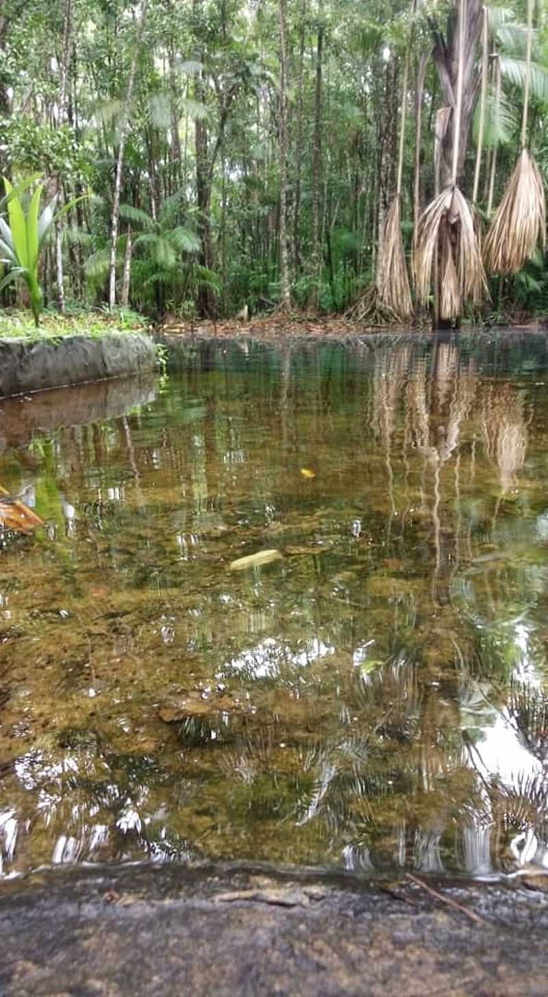 IMAGENS DA CIDADE DE CEDRAL - MA - CEDRAL - MA