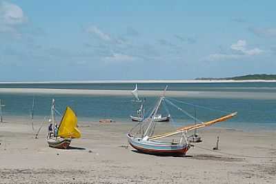 CEDRAL FOTO  WIKIPDIA - CEDRAL - MA