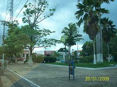 FOTO DE COROAT, POR NILVAN CHAVES BRAGA - COROAT - MA