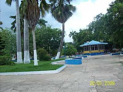 FOTO DE COROAT, POR NILVAN CHAVES BRAGA - COROAT - MA