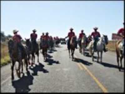 CAVALGADA, POR DOMINGOS DE ARAJO LIMA - FORMOSA DA SERRA NEGRA - MA