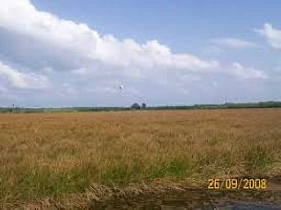 VISTA AREAVISTA DOS CAMPOS DE GODOFREDO VIANA-FOTO:MARANAUTA. - GODOFREDO VIANA - MA