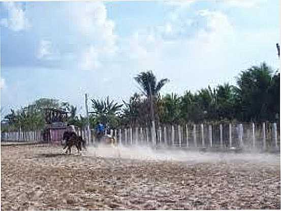 VAQUEJADA-FOTO:GOVERNADORARCHEREMFOCO - GOVERNADOR ARCHER - MA