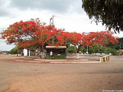 FLAMBOYANTS FOTO NANDO CUNHA - GOVERNADOR EDSON LOBO - MA