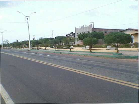 ARBORIZAO NA AVENIDA NENZINHO BRANDO, POR RONALDO - GOVERNADOR NEWTON BELLO - MA