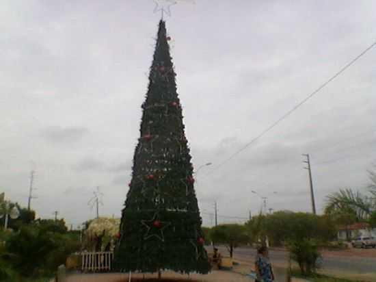 ARVORE DE NATAL, POR RONALDO - GOVERNADOR NEWTON BELLO - MA