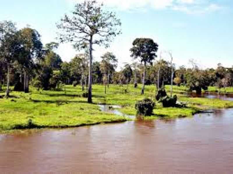 MAUS-AM-POCA DE CHEIA NO RIO MAUS-AU-FOTO:AVENTURASAMAZONIA.BLOGSPOT.COM  - MAUS - AM