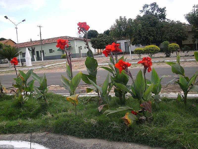 IMAGENS DA CIDADE DE LORETO - MA - LORETO - MA