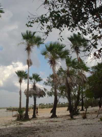 LAGOA DO BACURI, POR EDU GARCES - MAGALHES DE ALMEIDA - MA