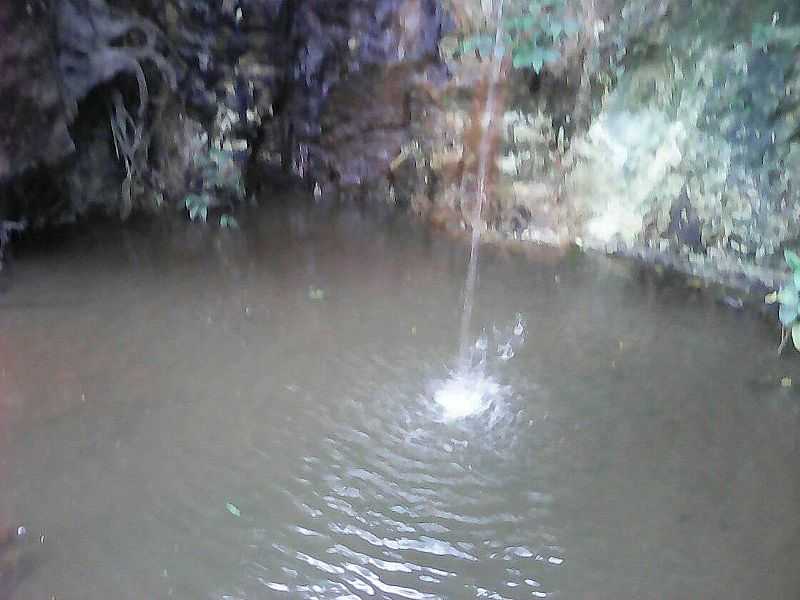 IMAGEM DA CIDADE DE ALECRIM-AL - ALECRIM - AL