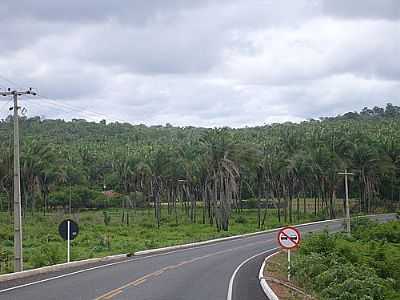 RODOVIA MATES/PARNARAMA POR CLODOMIR EVANGELISTA - MATES - MA