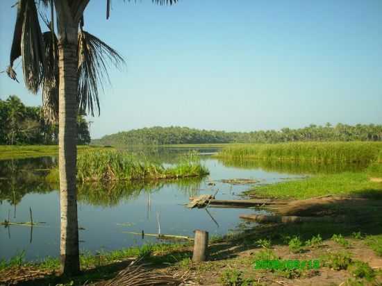 LAGOA DE CANA-BRAVA, POR MAIRAN MACEDO - MATES - MA