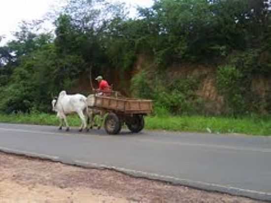 TRANSPORTE EM MIRADOR-FOTO:YTAJARA - MIRADOR - MA