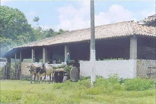 CASA DE FARINHA-FOTO:DOS ANJOS VERAS, CAR - MIRINZAL - MA