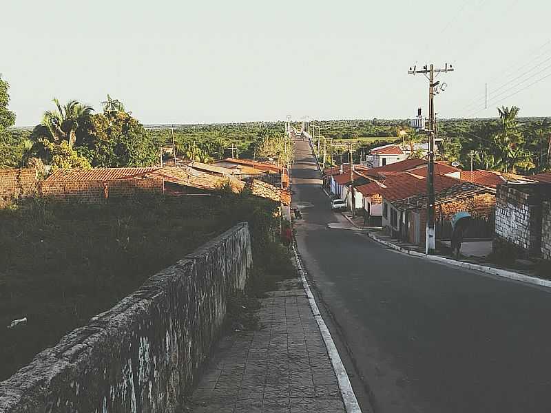 MONO-MA-RUA RIO BRANCO-FOTO:MATHEUS BRITO - MONO - MA