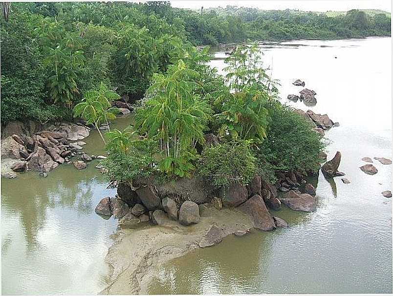 MORROS-MA-ILHOTA NO RIO MUNIM-FOTO:LEANDRO BARROSO REIS - MORROS - MA