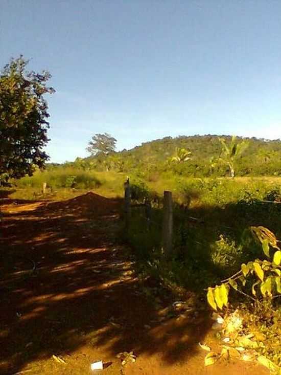 REA RURAL-FOTO:ARIEDSON - NOVA COLINAS - MA